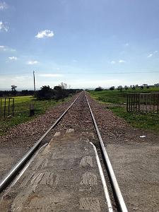 EL RAHEL